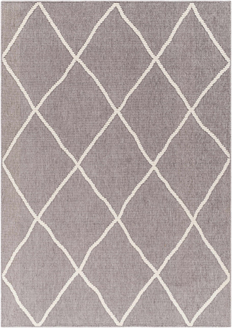 Amani Gray Washable Rug - Clearance Rugs TriadCommerceInc 5' x 7'2" Rectangle