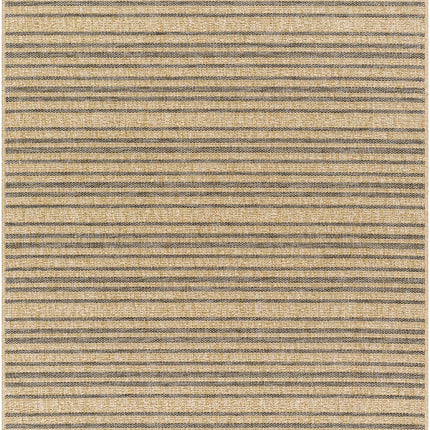 Aphea Indoor & Outdoor Rug Rugs TriadCommerceInc 5'3" x 7' Rectangle