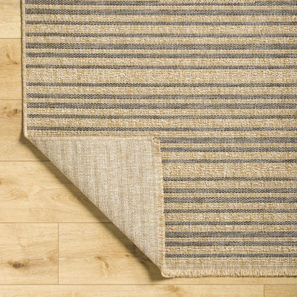 Aphea Indoor & Outdoor Rug Rugs TriadCommerceInc