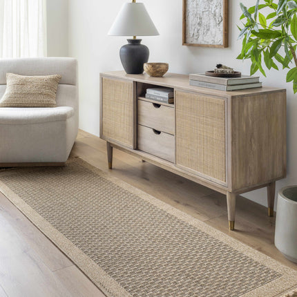 Biana Indoor & Outdoor Rug Rugs TriadCommerceInc 2'7" x 7'3" Runner