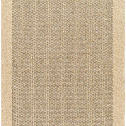 Biana Indoor & Outdoor Rug Rugs TriadCommerceInc 5'3" x 7' Rectangle