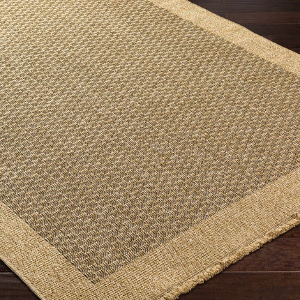 Biana Indoor & Outdoor Rug Rugs TriadCommerceInc