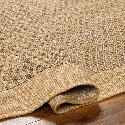 Biana Indoor & Outdoor Rug Rugs TriadCommerceInc