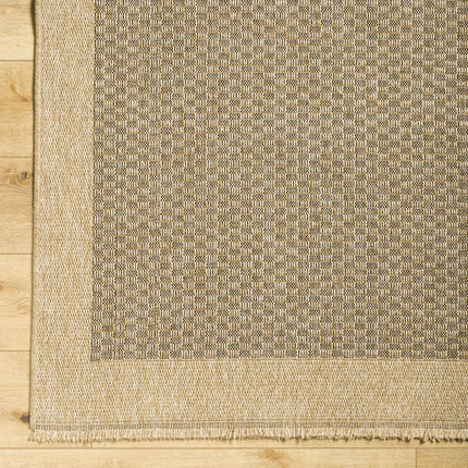 Biana Indoor & Outdoor Rug Rugs TriadCommerceInc