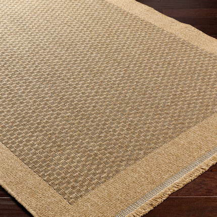 Biana Indoor & Outdoor Rug Rugs TriadCommerceInc