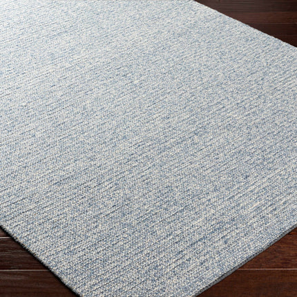 Alyra Light Blue Solid Wool Rug Rugs TriadCommerceInc