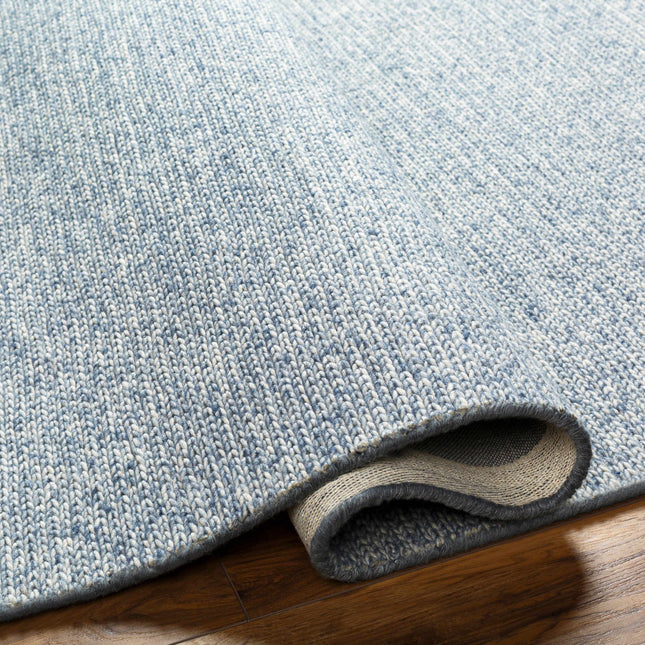 Alyra Light Blue Solid Wool Rug Rugs TriadCommerceInc