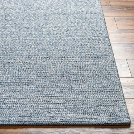Alyra Light Blue Solid Wool Rug Rugs TriadCommerceInc