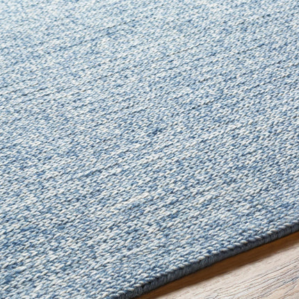 Alyra Light Blue Solid Wool Rug Rugs TriadCommerceInc