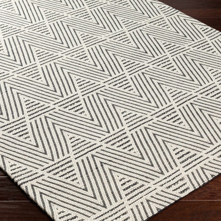 Dawid Wool Area Rug Rugs TriadCommerceInc