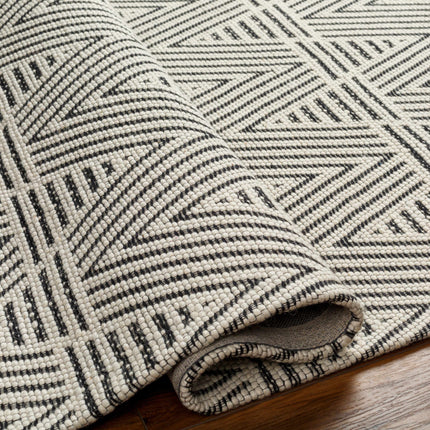 Dawid Wool Area Rug Rugs TriadCommerceInc