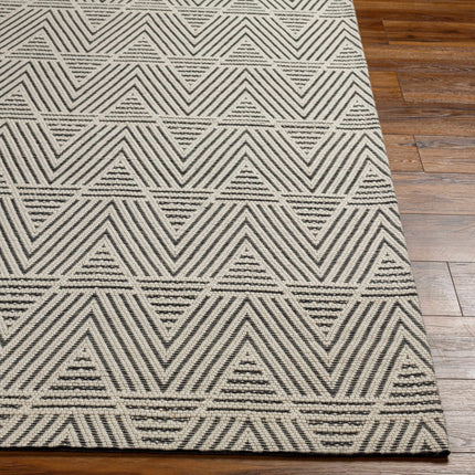 Dawid Wool Area Rug Rugs TriadCommerceInc