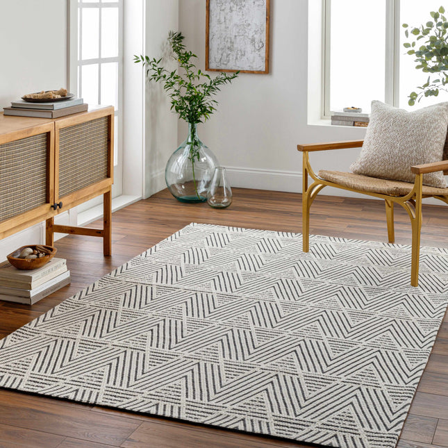 Dawid Wool Area Rug Rugs TriadCommerceInc