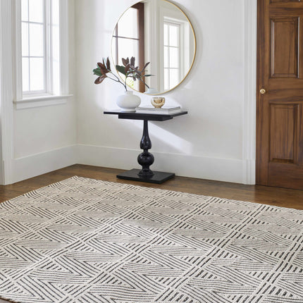 Dawid Wool Area Rug Rugs TriadCommerceInc