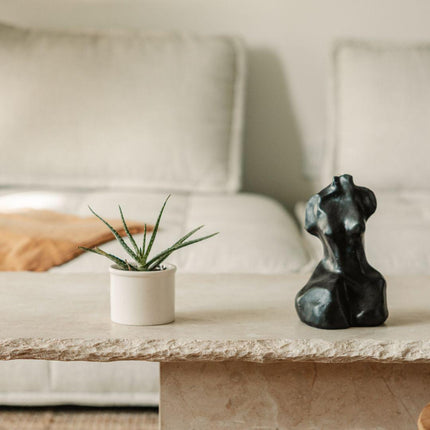 Sofita Marble Coffee Table - Low Coffee Tables TriadCommerceInc