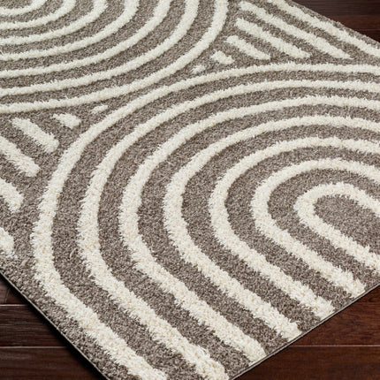 Arnel Brown Area Rug Rugs TriadCommerceInc