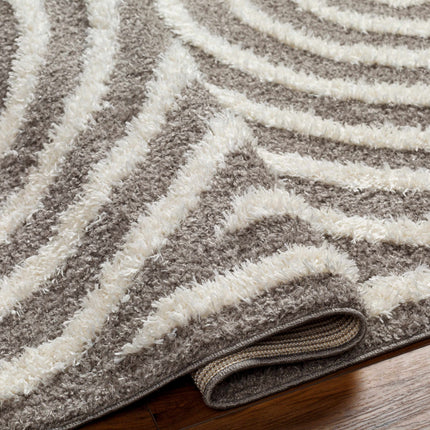 Arnel Brown Area Rug Rugs TriadCommerceInc