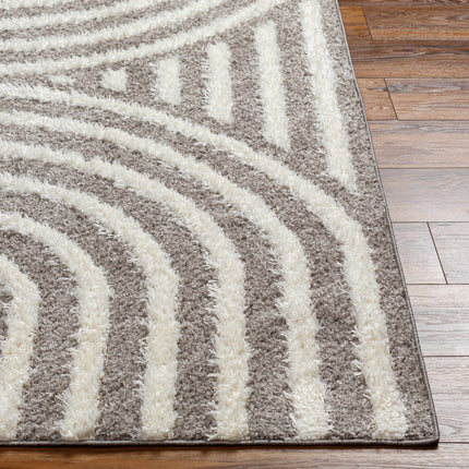 Arnel Brown Area Rug Rugs TriadCommerceInc