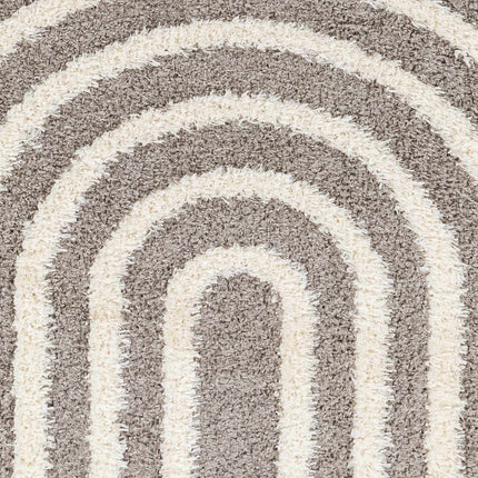 Arnel Brown Area Rug Rugs TriadCommerceInc