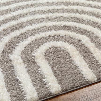 Arnel Brown Area Rug Rugs TriadCommerceInc