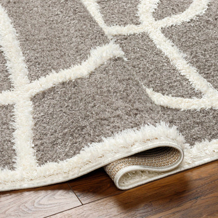 Gilon Taupe Plush Area Rug Rugs TriadCommerceInc