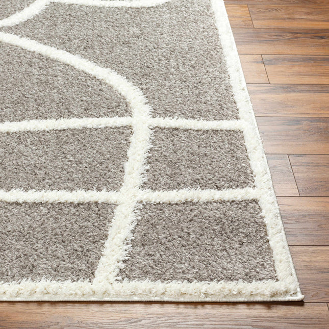 Gilon Taupe Plush Area Rug Rugs TriadCommerceInc