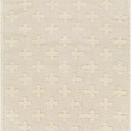 Satu Cream Area Rug Rugs TriadCommerceInc 5'3" x 7' Rectangle
