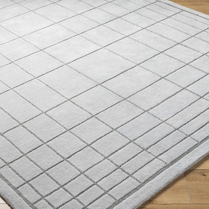 Sedna Gray Wool Area Rug Rugs TriadCommerceInc