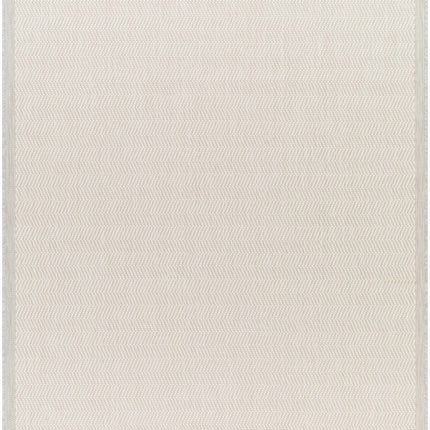 Genet Cream Indoor/Outdoor Rug Rugs TriadCommerceInc 5'3" x 7' Rectangle