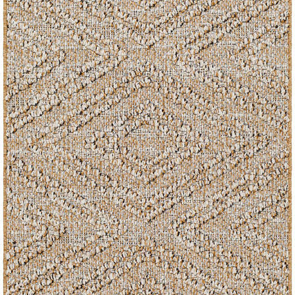 Beige Areli Area Rug Rugs TriadCommerceInc 2'7'' x 7'3'' Runner