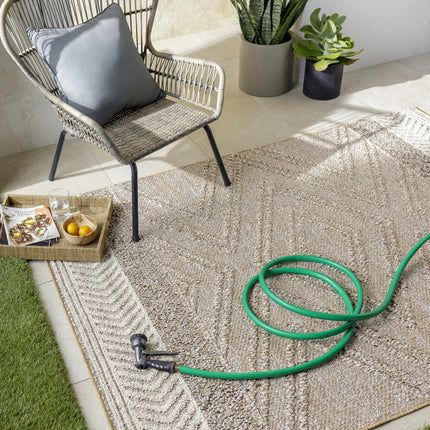 Beige Areli Area Rug Rugs TriadCommerceInc