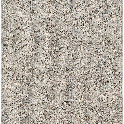 Beige Gray Areli Area Rug Rugs TriadCommerceInc 2'7'' x 7'3'' Runner