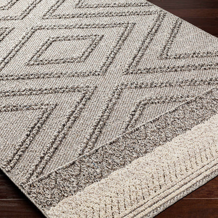 Beige Gray Areli Area Rug Rugs TriadCommerceInc