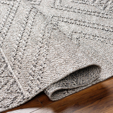 Beige Gray Areli Area Rug Rugs TriadCommerceInc