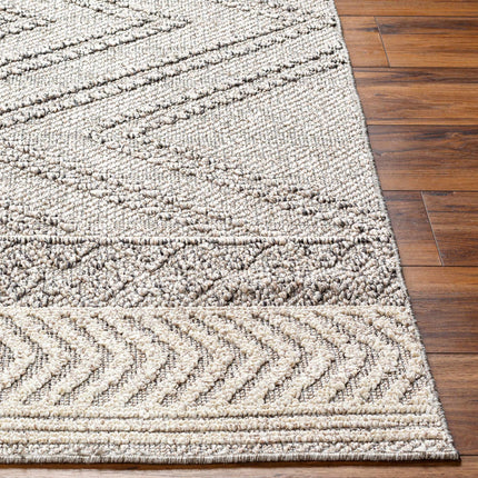 Beige Gray Areli Area Rug Rugs TriadCommerceInc