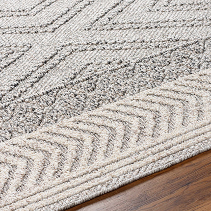 Beige Gray Areli Area Rug Rugs TriadCommerceInc