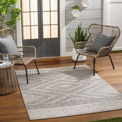 Beige Gray Areli Area Rug Rugs TriadCommerceInc