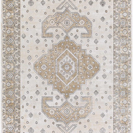 Southwark Area Rug - Clearance Rugs TriadCommerceInc 2' x 2'11" Rectangle