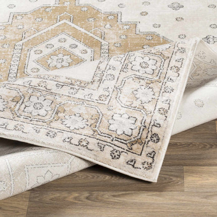 Southwark Area Rug - Clearance Rugs TriadCommerceInc
