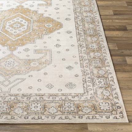 Southwark Area Rug - Clearance Rugs TriadCommerceInc