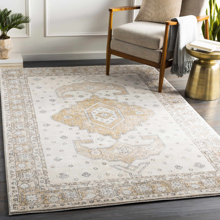 Southwark Area Rug - Clearance Rugs TriadCommerceInc