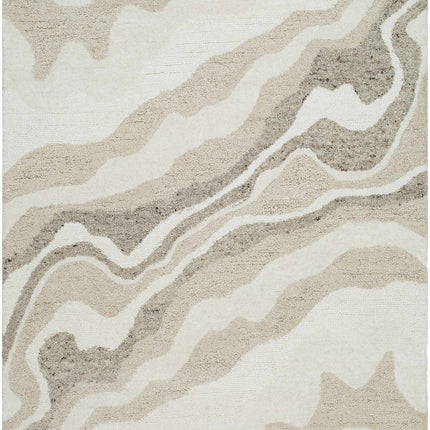 Siani Beige Wool Area Rug Rugs TriadCommerceInc 5' x 7'6" Rectangle