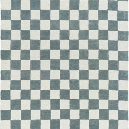 Timin Blue Gray Checkered Area Rug Rugs TriadCommerceInc 5' x 7'6" Rectangle