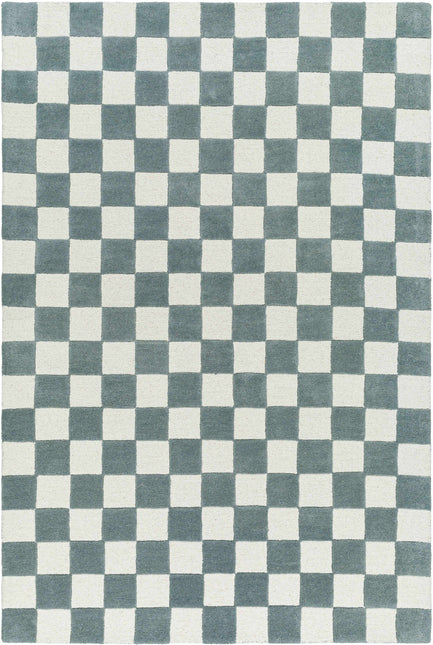 Timin Blue Gray Checkered Area Rug Rugs TriadCommerceInc 5' x 7'6" Rectangle