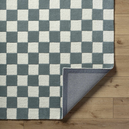 Timin Blue Gray Checkered Area Rug Rugs TriadCommerceInc