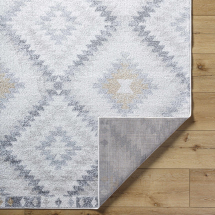 Tyipa Area Rug Rugs TriadCommerceInc