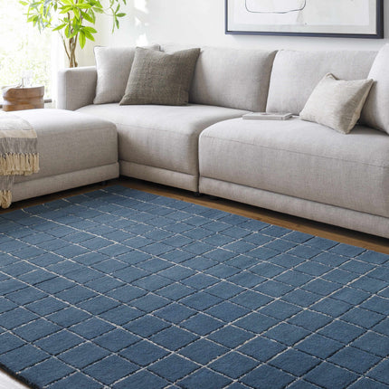 Toshi Blue Area Rug Rugs TriadCommerceInc