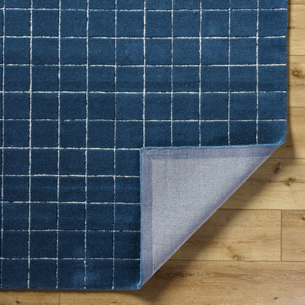Toshi Blue Area Rug Rugs TriadCommerceInc