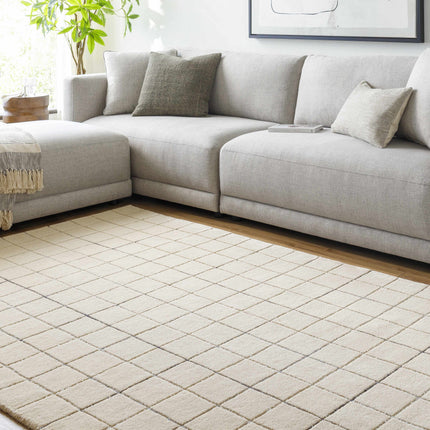 Toshi Beige Area Rug Rugs TriadCommerceInc