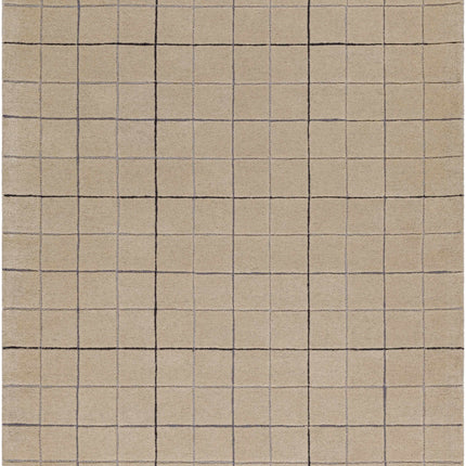 Toshi Beige Area Rug Rugs TriadCommerceInc 5' x 7'6" Rectangle